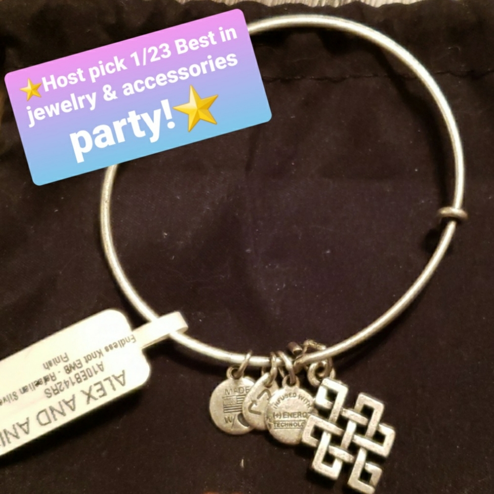 🎉⭐HP 🆕️NWT Alex and Ani Endless knot bracelet